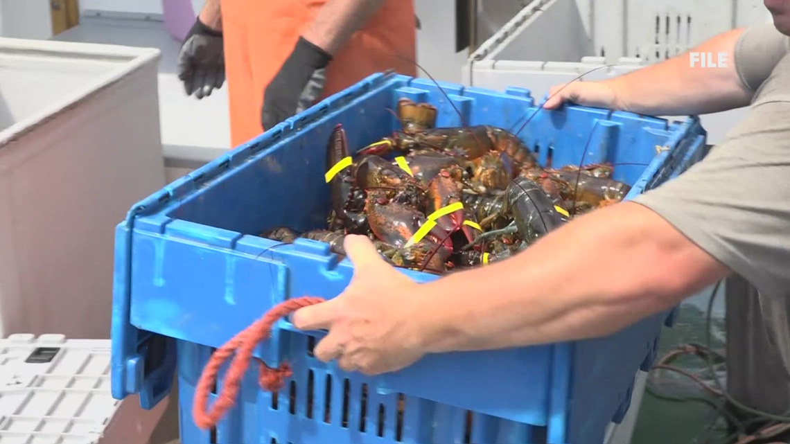 US-Canada lobstermen discuss climate change, tariffs, and industry future at annual conference [Video]