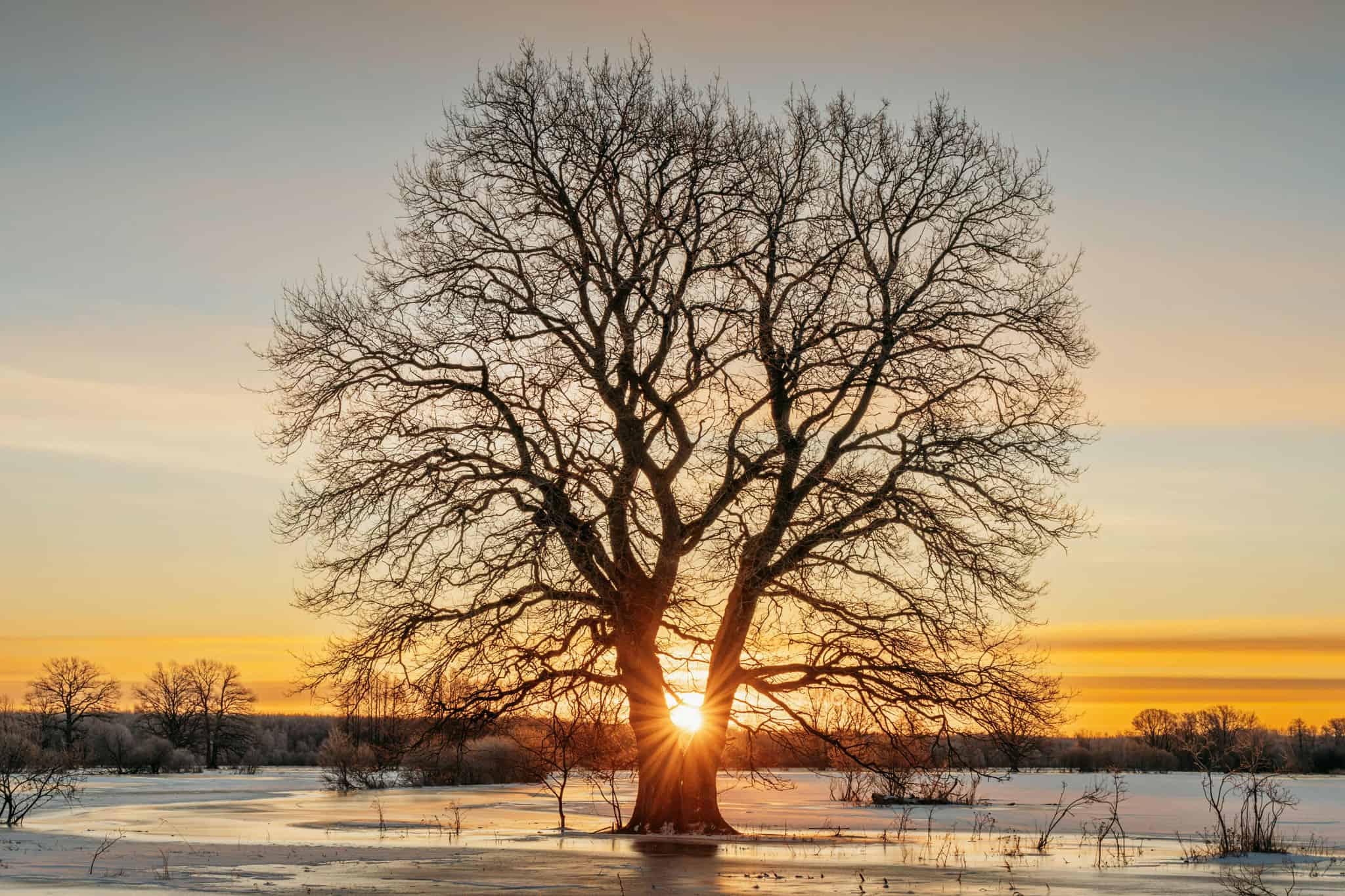 Weekend weather: Sun and temperature drop expected in southern Ontario [Video]