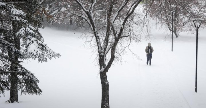 Albertas January weather roller-coaster continues as cold comes for much of province [Video]