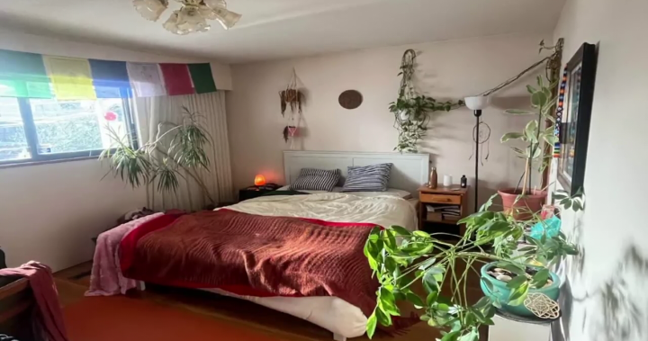 How much would you pay? Ad asks roommates to name their price as B.C. rents slide - BC [Video]