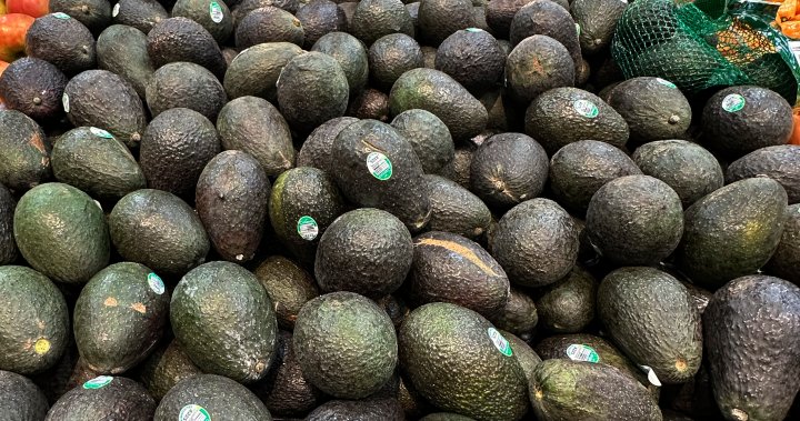 From avocados to gasoline, why Trumps tariffs could raise prices for Americans – National [Video]