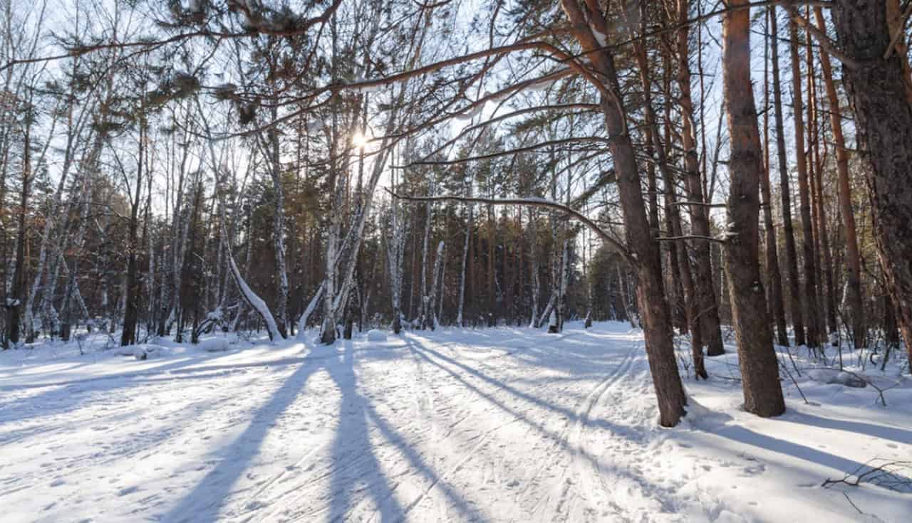 Feb. 1 weather: Weekend starts off sunny followed by snow or rain [Video]