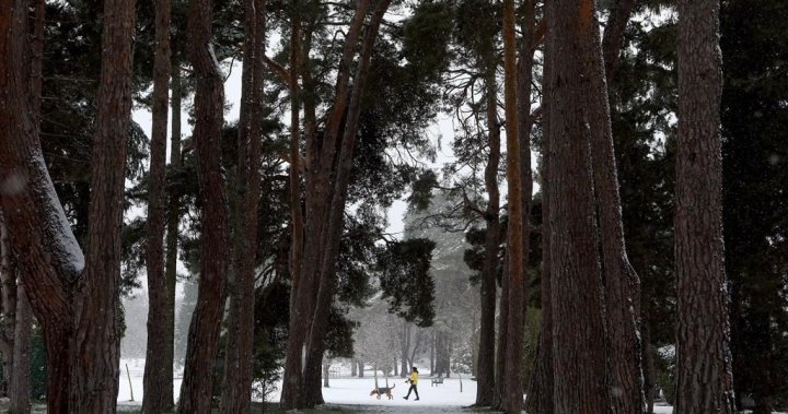 B.C.s south coast sees first snowfall of the season [Video]