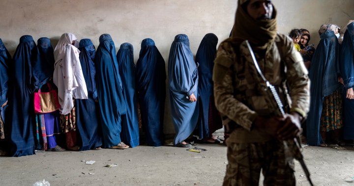 Taliban have no legal right to multibillion dollar Afghan fund: US watchdog - National [Video]