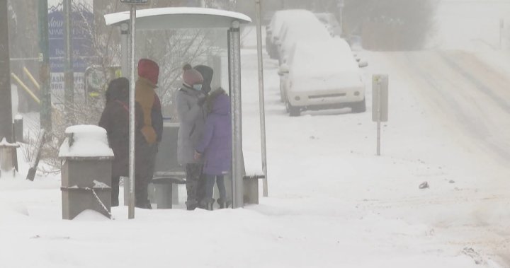 Extreme cold warnings blanket much of Alberta with wind chill near -50 [Video]