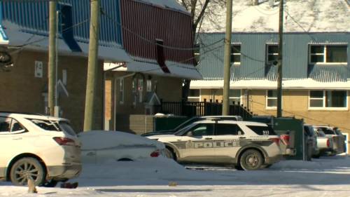 Winnipeg cops investigating Sunday morning homicide [Video]