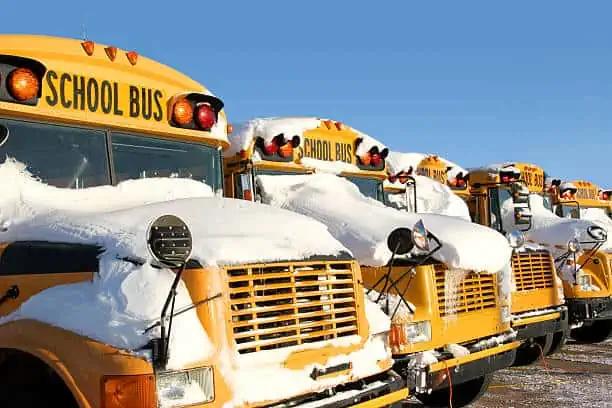 ‘Impaired’ school bus driver with kids on board arrested in Ontario, police say [Video]