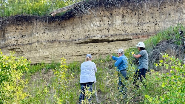 Carbon dating puts Sask. Indigenous archaeological site at almost 11,000 years old [Video]