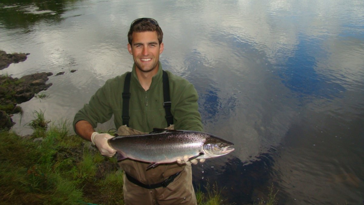 Saving salmon can be a win-win for climate change  NBC Connecticut [Video]