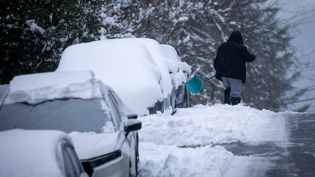 Some B.C. schools cancel in-person learning as snow batters South Coast, Vancouver Island [Video]