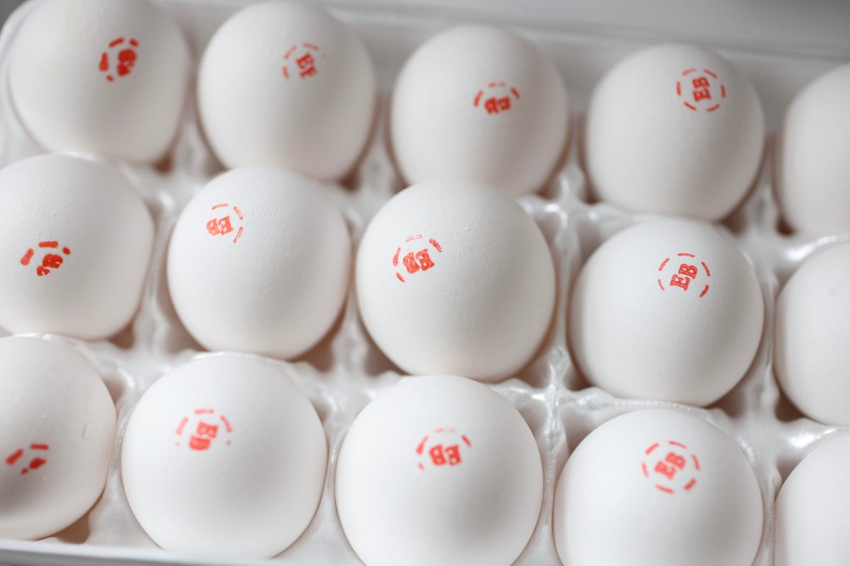 Betting markets predict higher egg prices and more tariffs [Video]