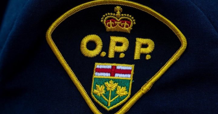 2 men shot dead in eastern Ontario home invasion, residents uninjured [Video]