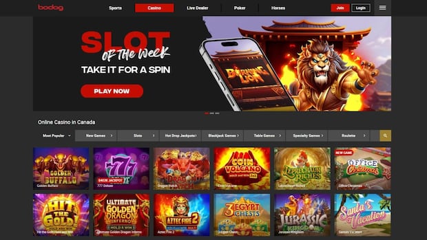 Manitoba Liquor & Lotteries asks courts to block offshore gambling site on behalf of gaming coalition [Video]