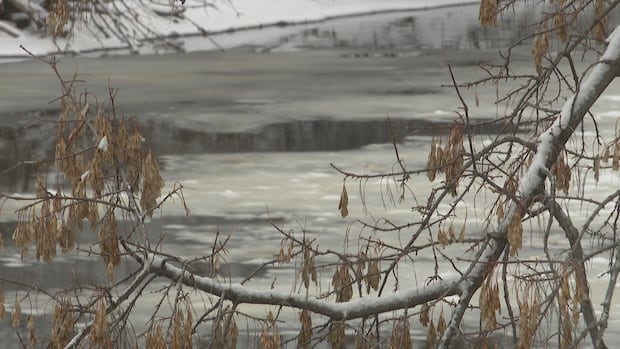 2 men dead after falling through ice in Agassiz, B.C. [Video]