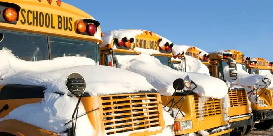 School buses cancelled in GTA and southern Ontario [Video]