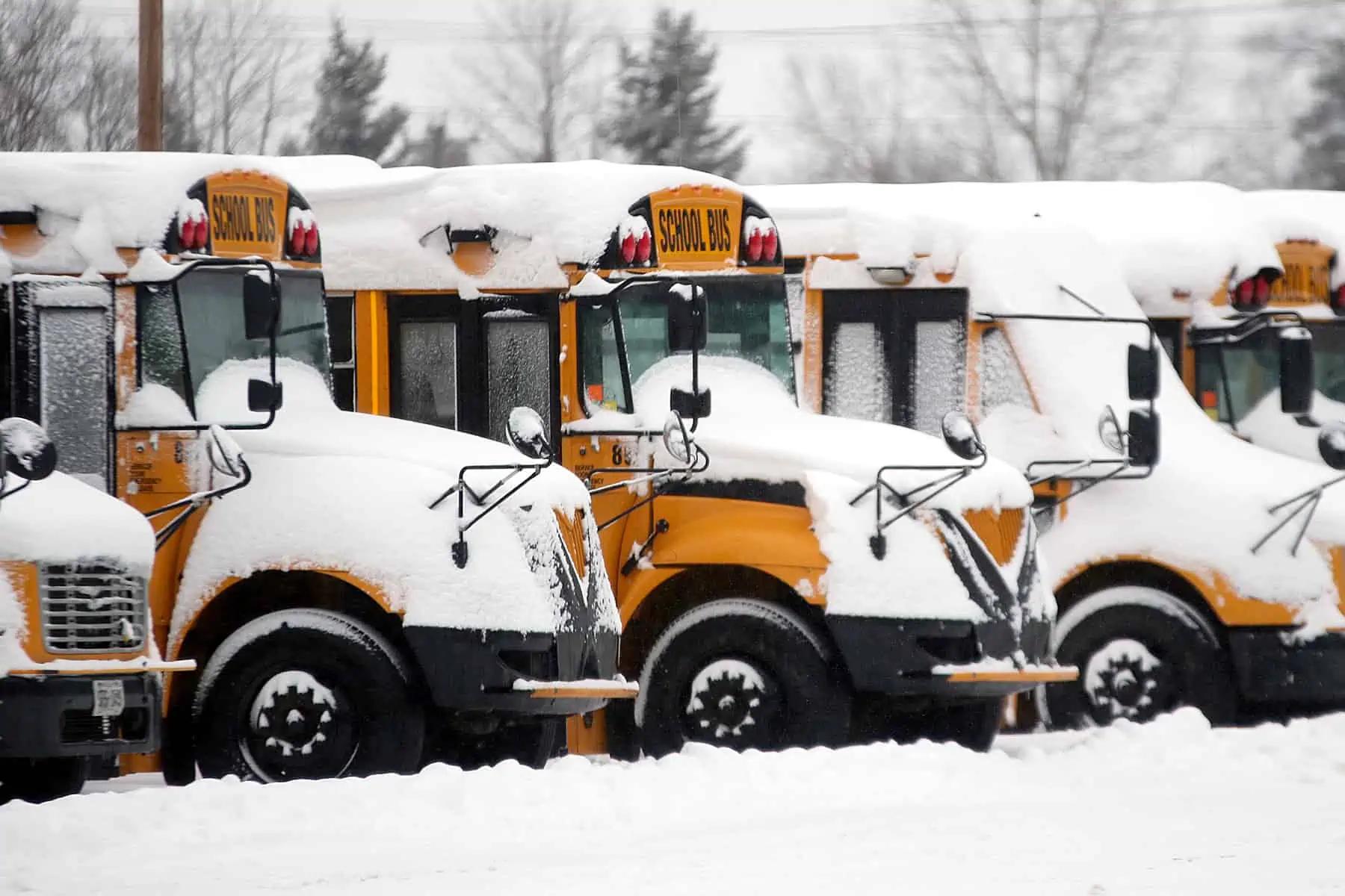 Weather causing school bus cancellations, multiple delays in eastern Ontario [Video]