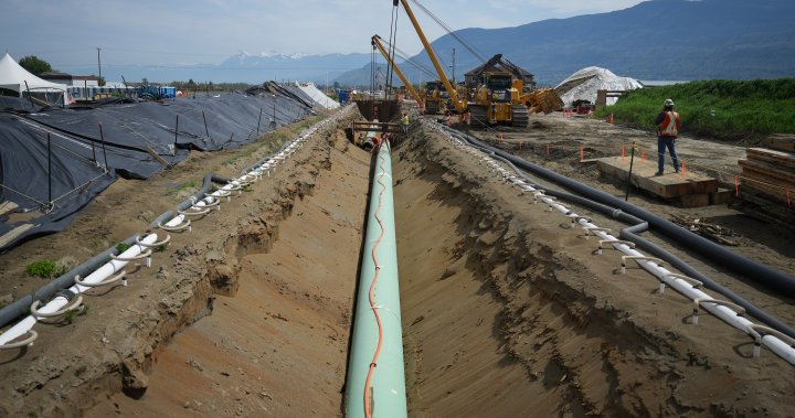 Trans Mountain exploring capacity expansion projects but not a 3rd pipeline [Video]