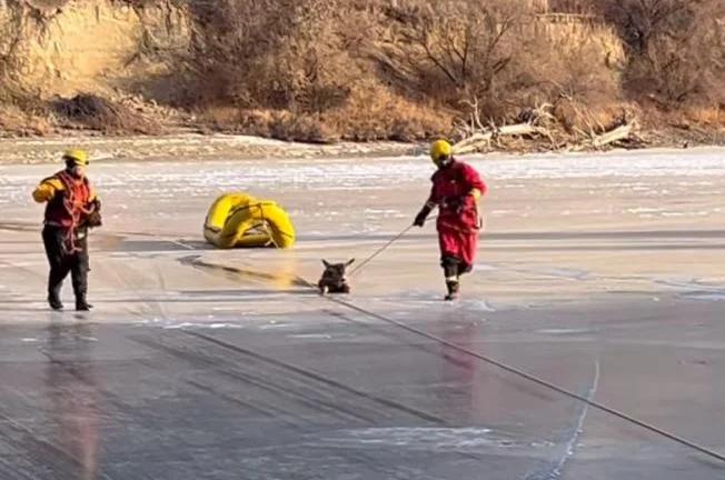 Watch: Firefighters use ropes to rescue deer stranded on the ice [Video]