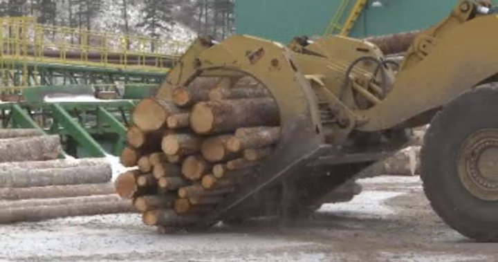 B.C. forest sector could face devastating blow if tariff threat goes through [Video]