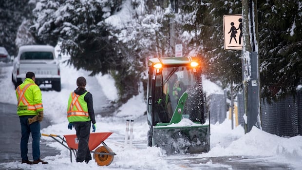 More snow forecast for Vancouver Island as cold air settles over B.C. [Video]