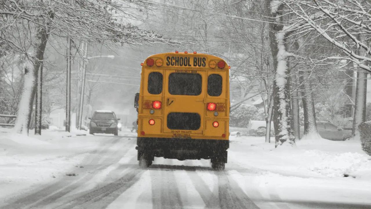 School bus cancellations are likely for parts of southern Ontario this week [Video]