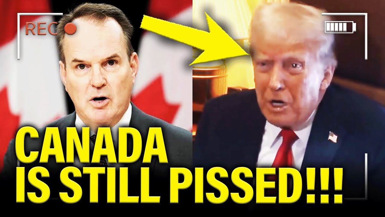 PISSED OFF Canadians LEAD BIG BOYCOTT on Trumps USA – WNYmedia Network [Video]