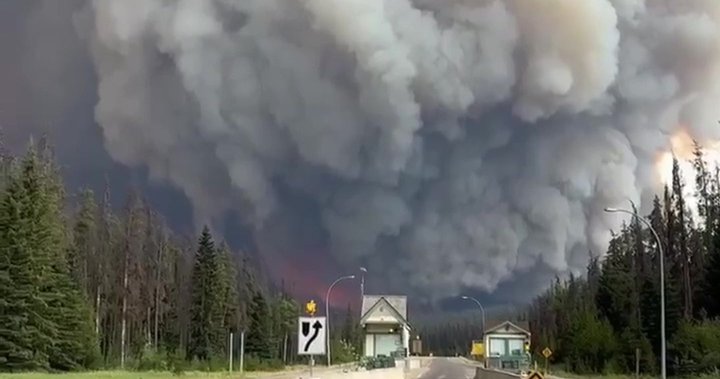 Hinton, other Alberta communities pushed to ramp up wildfire mitigation [Video]