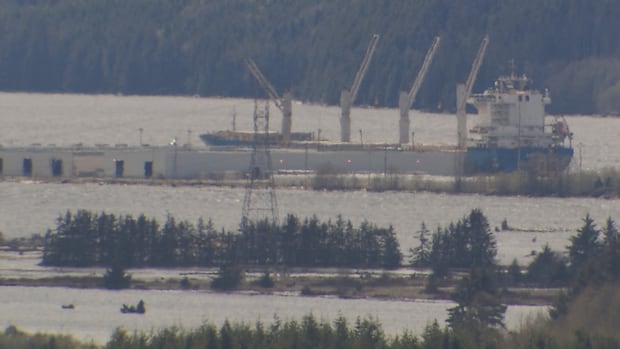 B.C. smelter confident it will find non-U.S. aluminum buyers, minister says [Video]