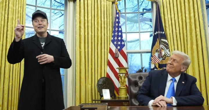 Trump, Musk defend efforts to cut U.S. government workforce and spending – National [Video]