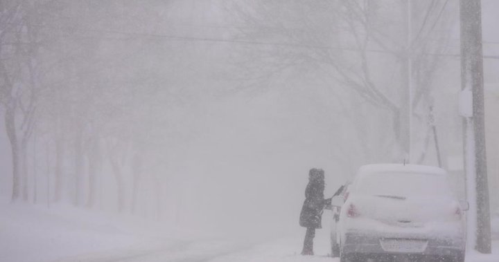 Storm could bring heavy snow, freezing rain and ice to N.S. and N.B. [Video]