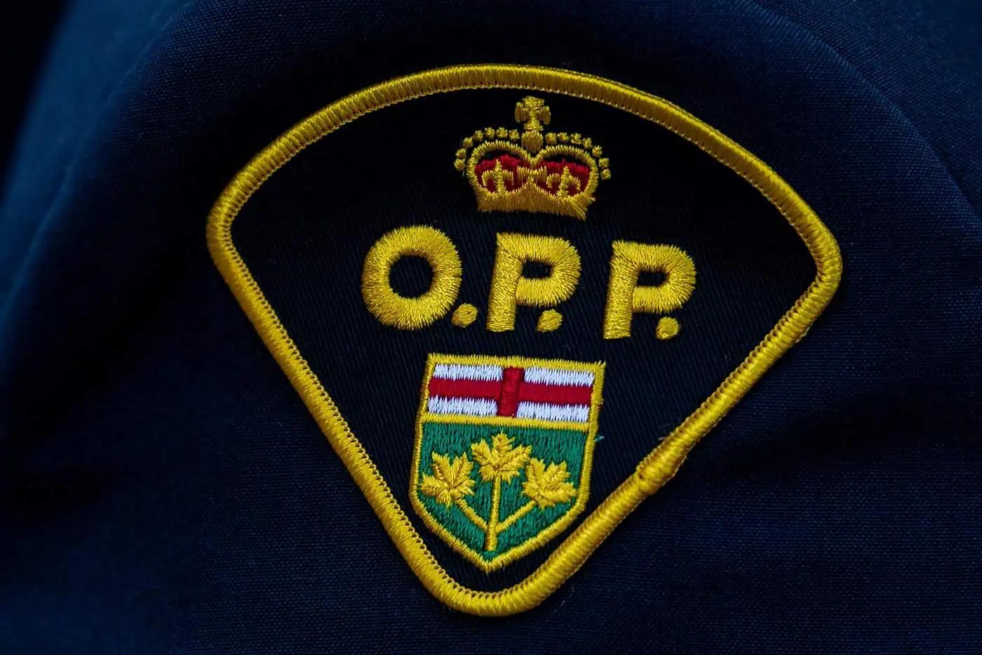 Police in Ontario say second teen charged after threats of violence against schools [Video]