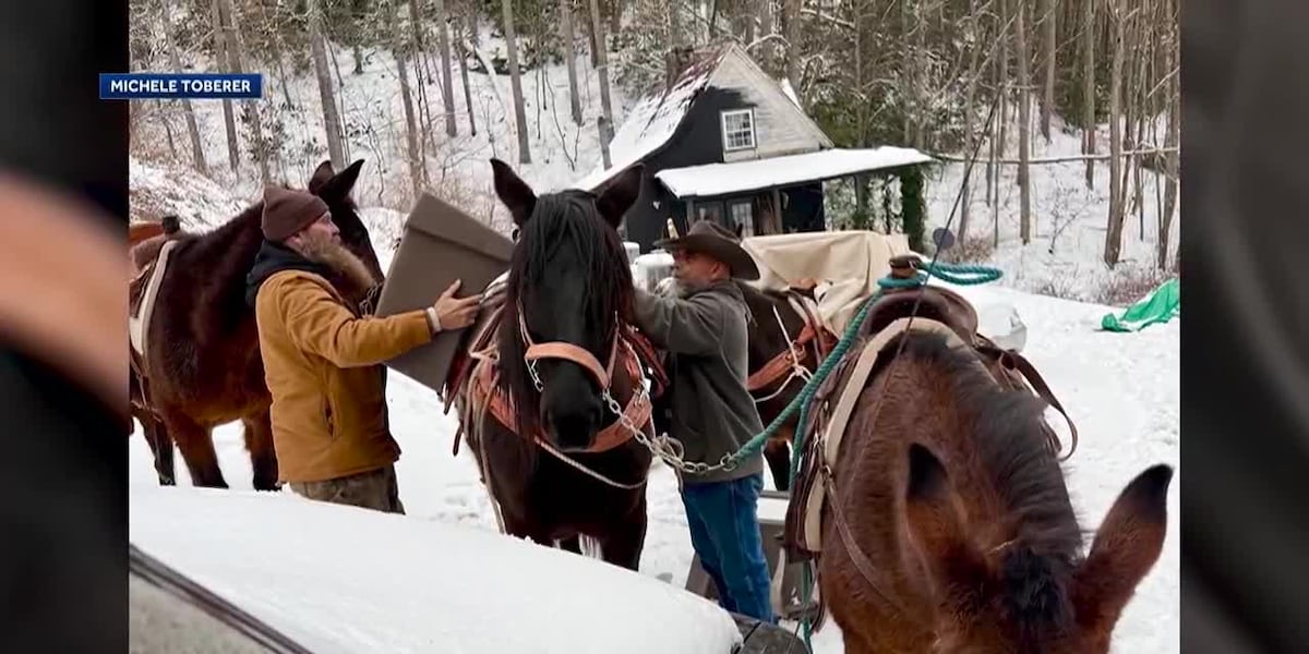 Mules that helped deliver Helene disaster relief killed in tragic accident [Video]