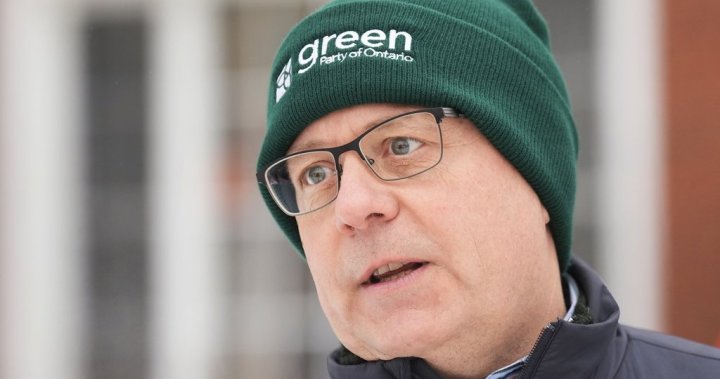 After 15 years at the helm, can Schreiner lead the Ontario Greens to a breakthrough? [Video]