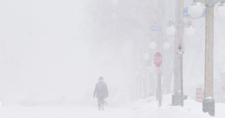 Up to 40 cm of snow expected in Quebecs biggest storm of the season [Video]