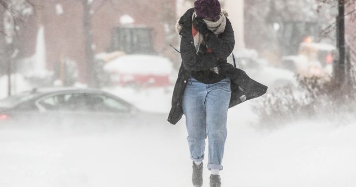 Experts urge caution, preparedness as Saskatchewan hit by extreme cold snap [Video]