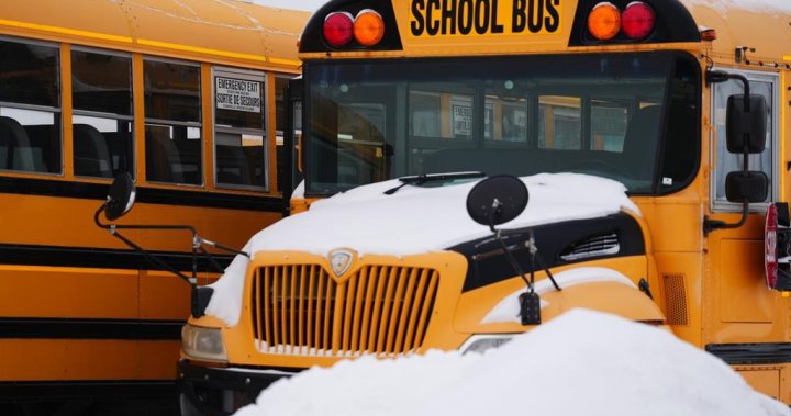 List of schools closed in the Greater Toronto Area for Thursday, February 13, 2025 [Video]