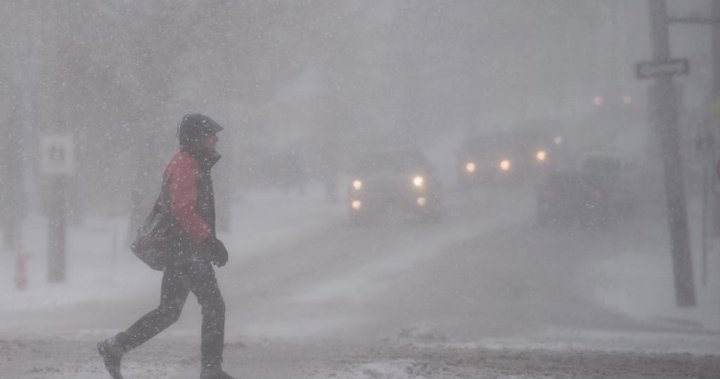 Winter storm brings school closures, cancellations to Maritime provinces [Video]