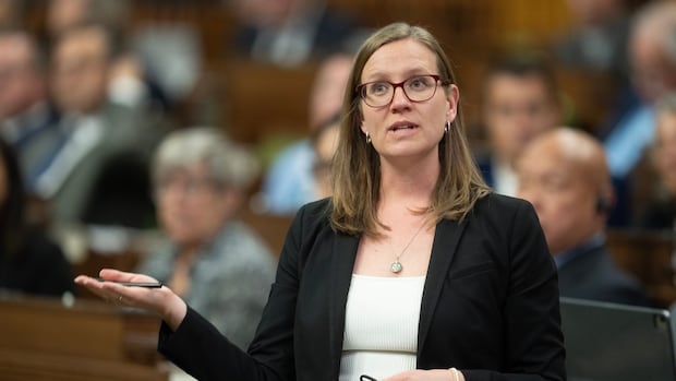 Liberal leadership contender Karina Gould promises EI reforms, universal basic income as PM [Video]