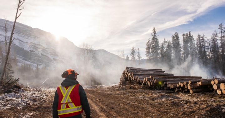 Bow Valley groups band together to prevent devastating wildfires [Video]