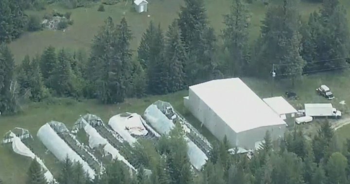 B.C. landlord says he had no idea Canadas largest drug superlab was on his property [Video]