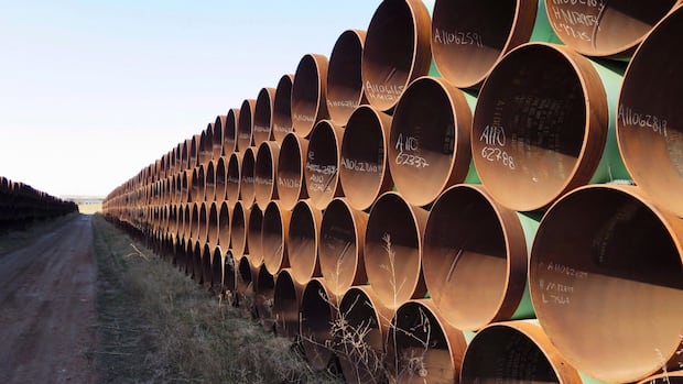 Big shift in Canadian policy needed for new energy export projects, Enbridge CEO says [Video]