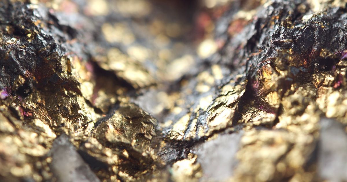 Falcon Gold advances Great Burnt project in Newfoundland with new drill program - ICYMI [Video]