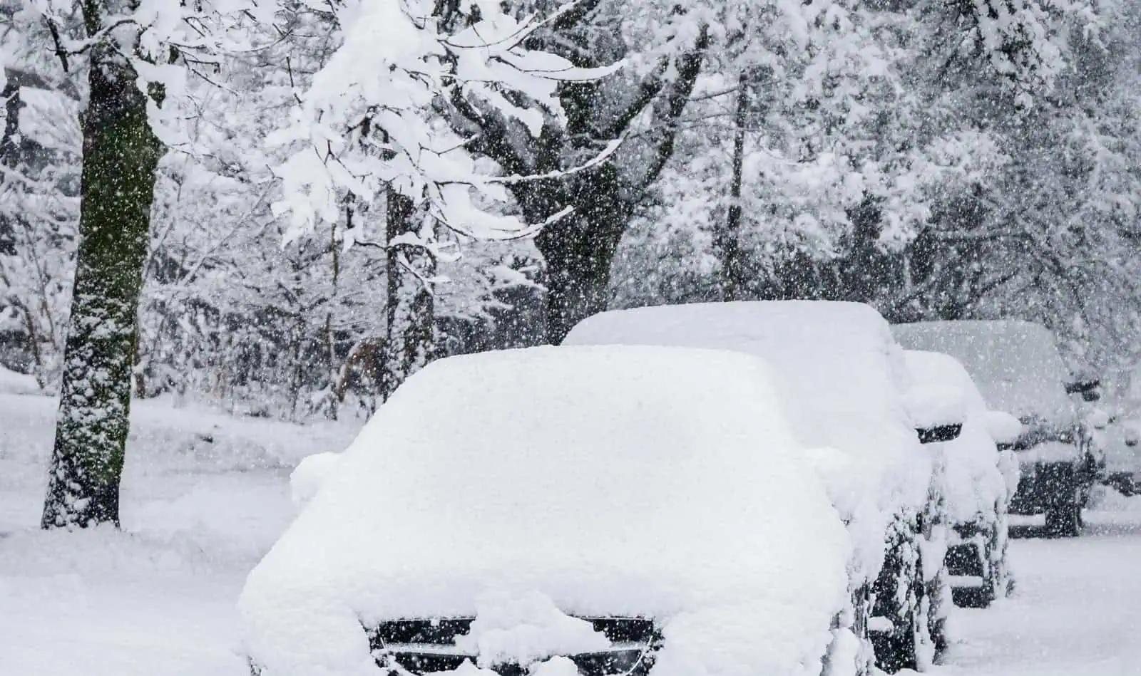 SNOWSTORM: Up to 40 cm of snow set to hit southern Ontario in massive winter blizzard [Video]