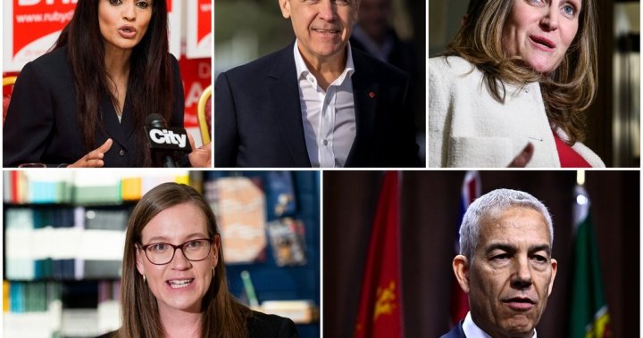 Liberal leadership candidates set to clear final hurdle to stay in race – National [Video]