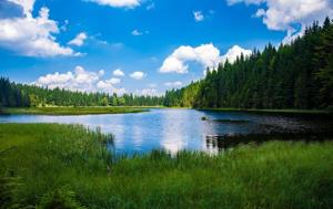 Man contracts Legionnaires disease after swimming in lake [Video]