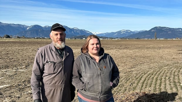 Chilliwack, B.C., farmers worry uncleared ditches harming ability to grow food [Video]