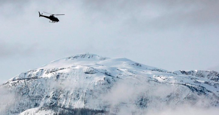 Backcountry skier killed in avalanche near Golden, B.C. [Video]