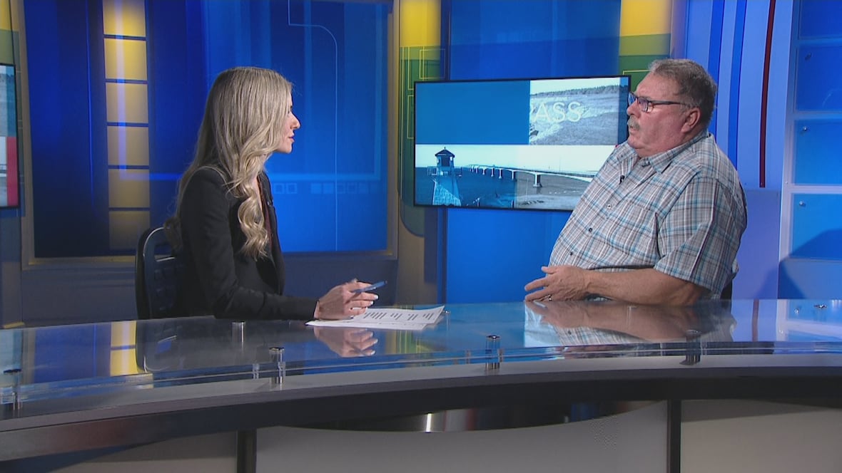 How a nursery could help P.E.I.’s oyster industry through the MSX crisis [Video]