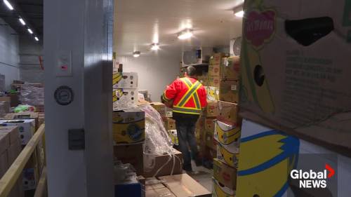 Whitby food bank expands operations due to rising demand [Video]