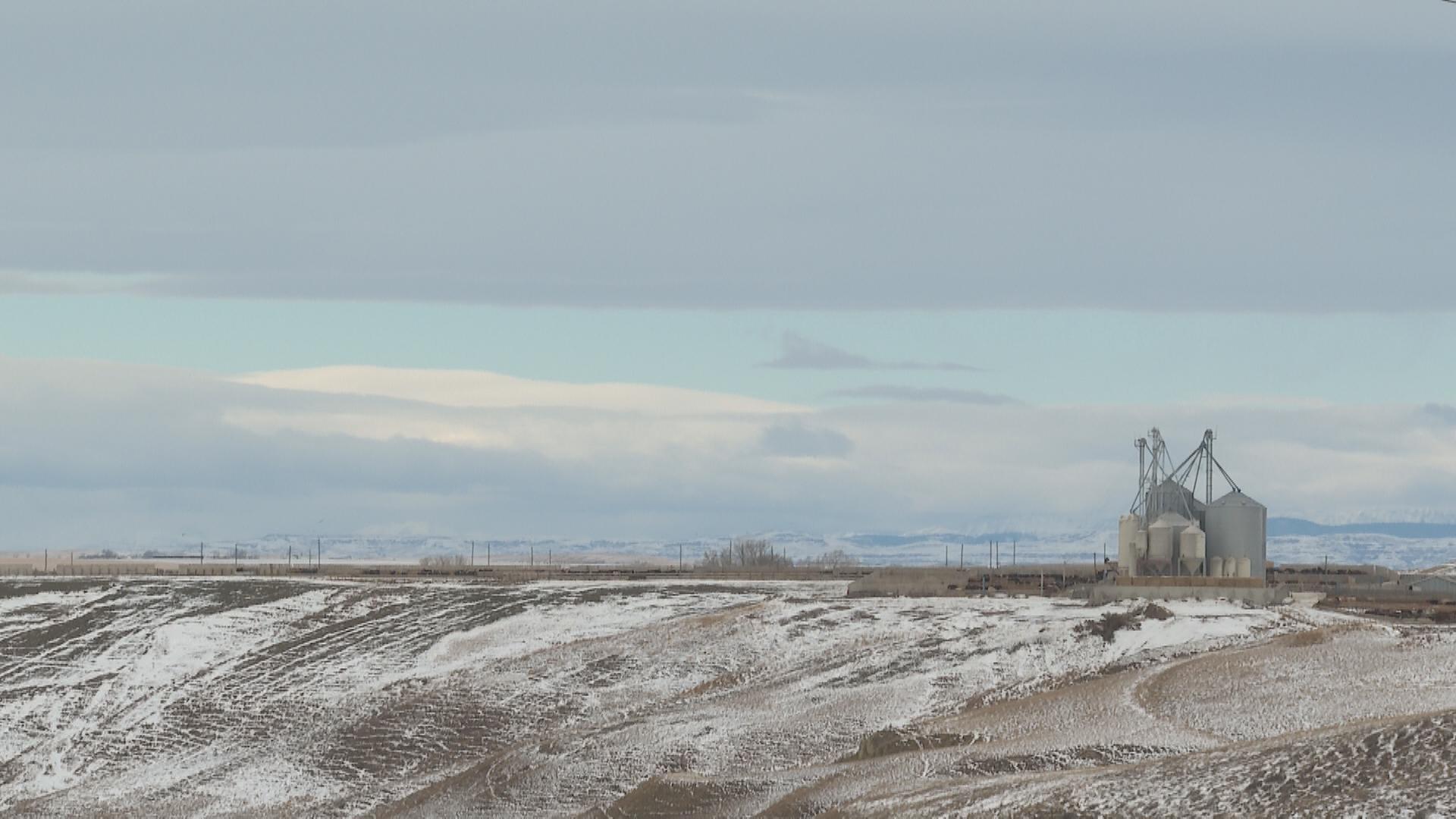 Southern Alberta farmers optimistic for 2025 growing season [Video]